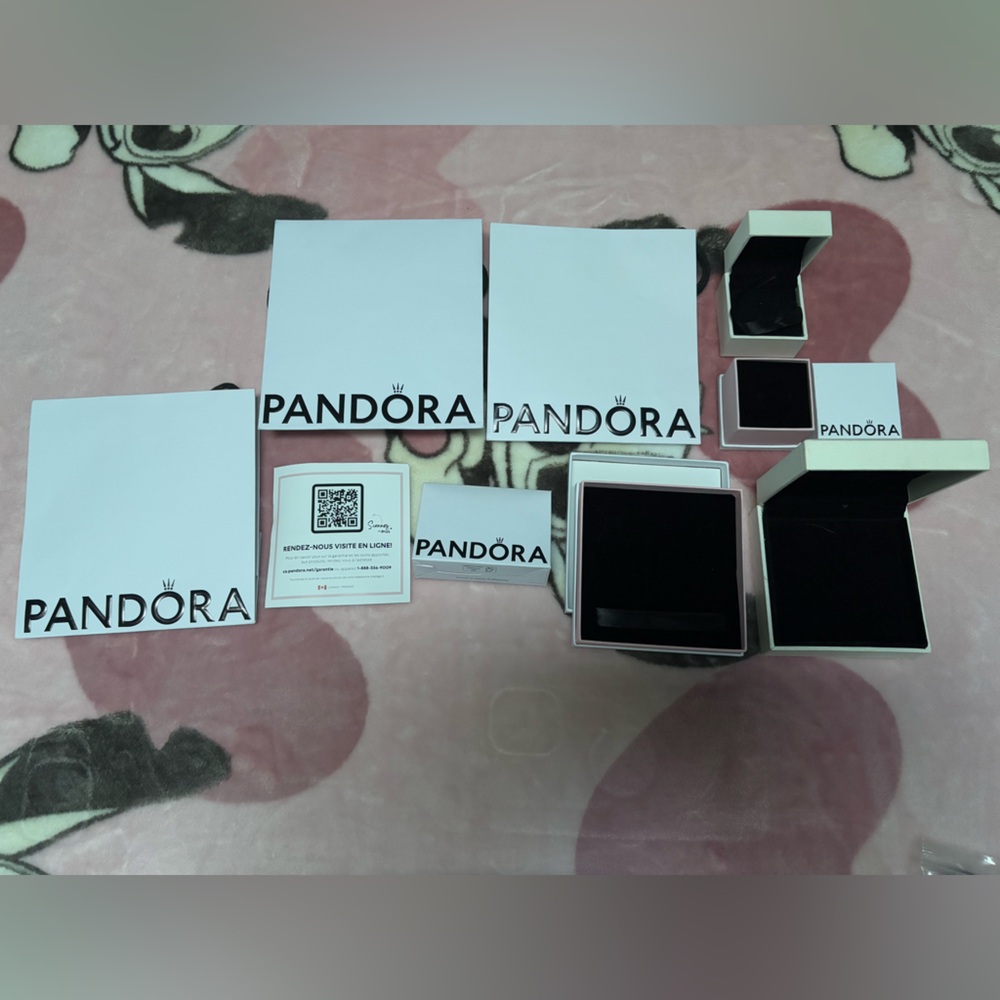 Pandora Packaging Bundle - image 2